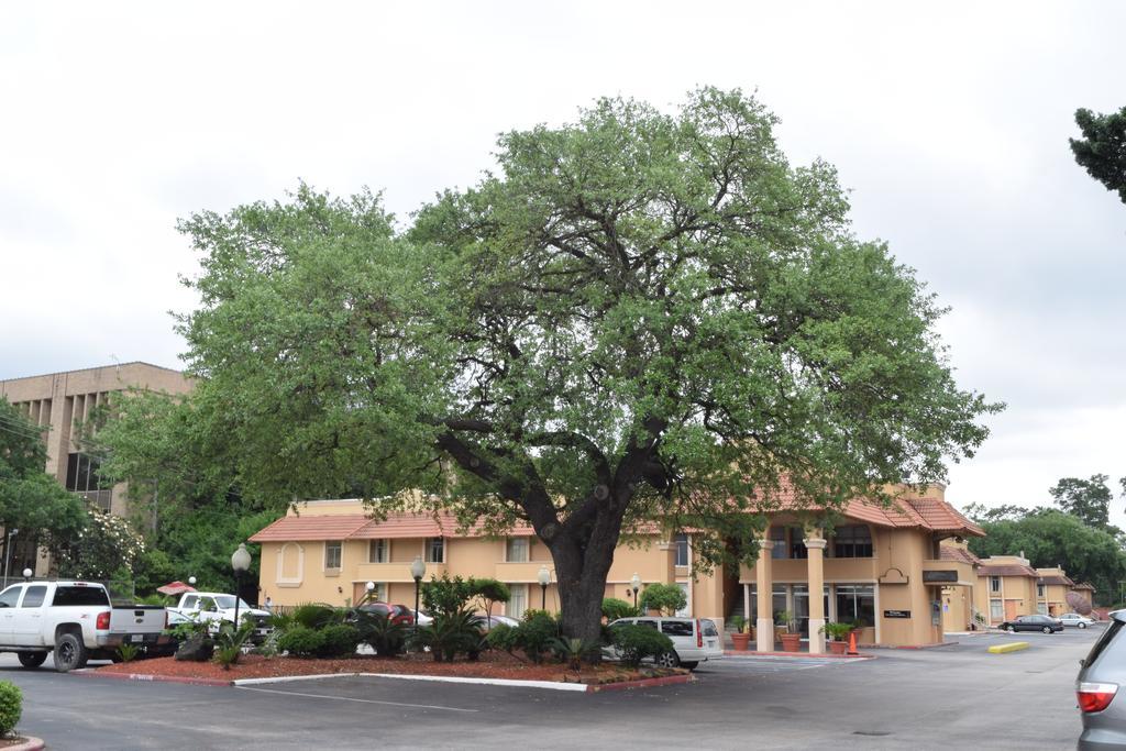 Memorial Inn And Suites ヒューストン エクステリア 写真